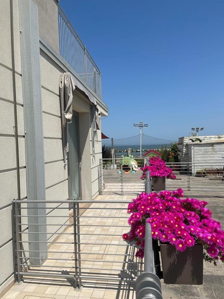 Hotel & Residence Cavalluccio Marino Rimini Buitenkant foto